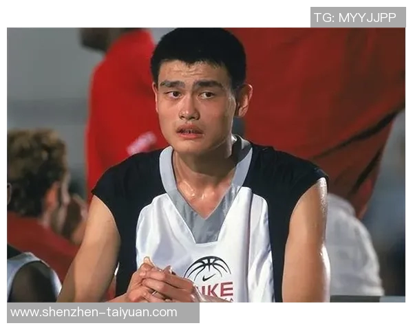 姚明身高优势与精彩集锦回顾展现篮球巨星的辉煌时刻